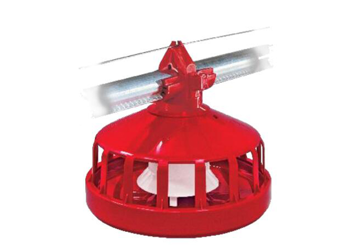 種雞盤式喂料器