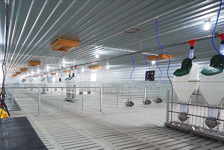 Sanhe 14000 fattening five farms on the north slope of Zhanjiang