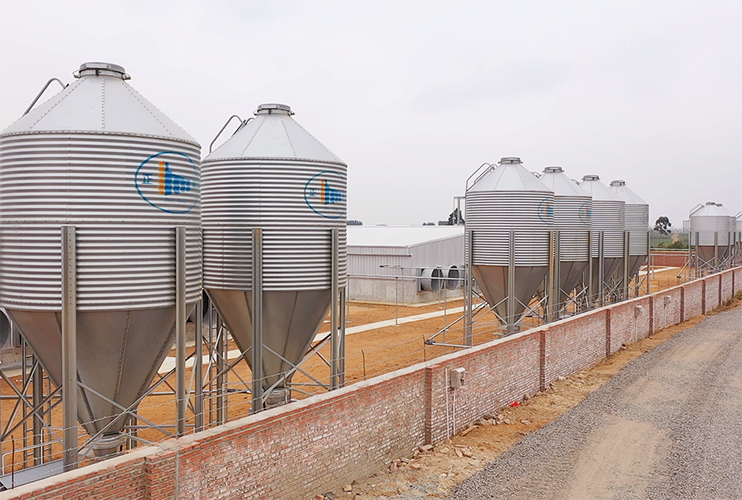 Sanhe 14000 fattening five farms on the north slope of Zhanjiang